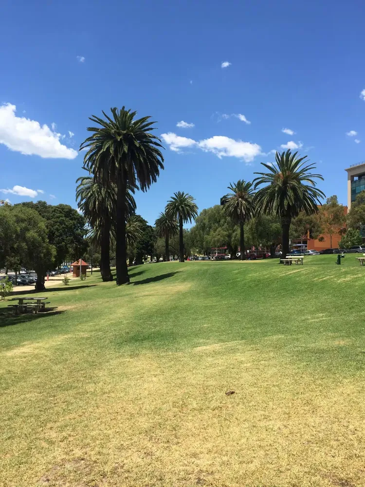 开云- 澳大利亚选手 